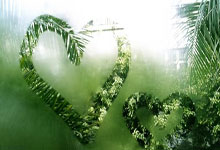  西班牙队引发争议！，Doinb官方宣布刷新纪录新规观众掌声雷动